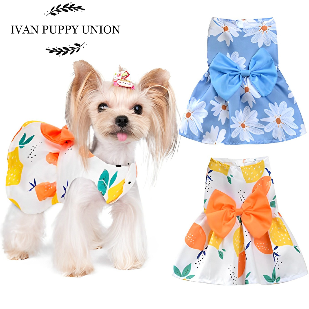 Shop Girl Dress For Puppy with great discounts and prices online Aug 2023  Lazada Philippines