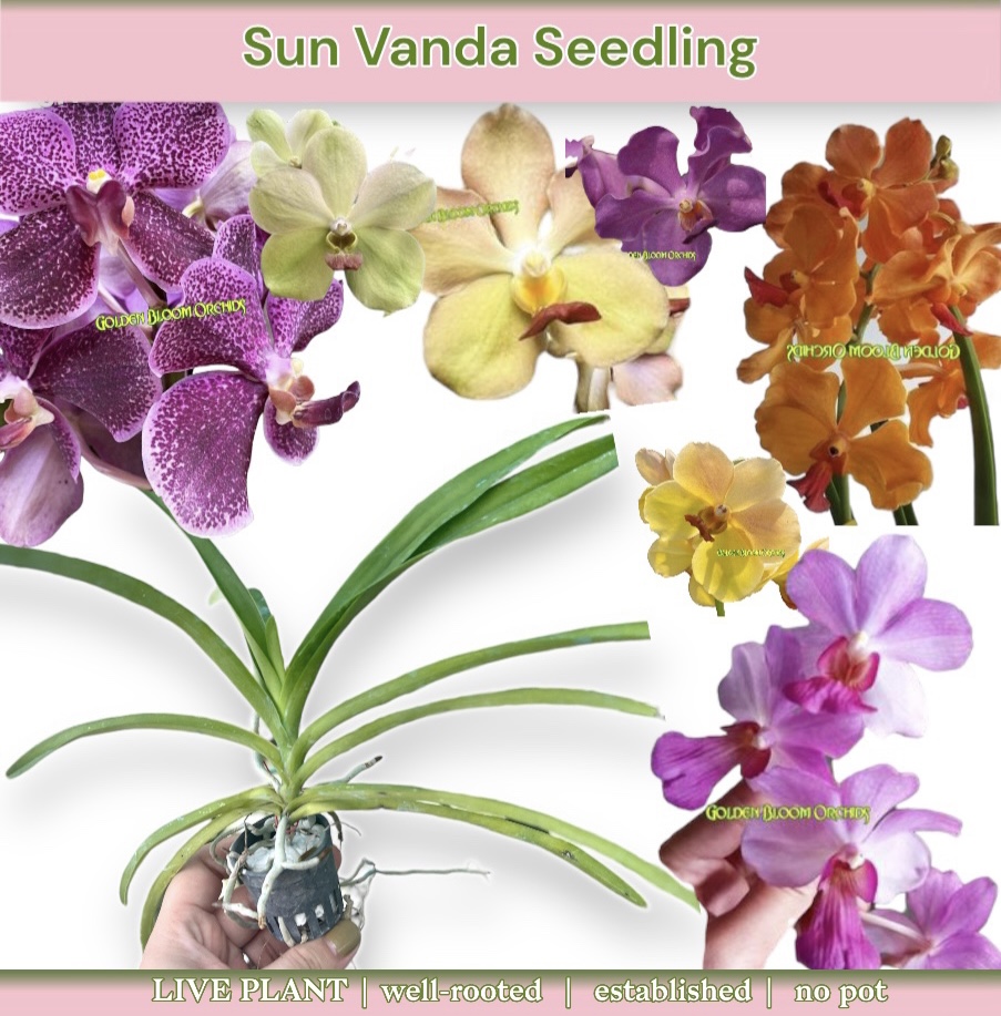 Uzun oyoqli xitoylik ayol internetda sikishadi Yetuk ayollar ishtirokidagi rus porno filmlari