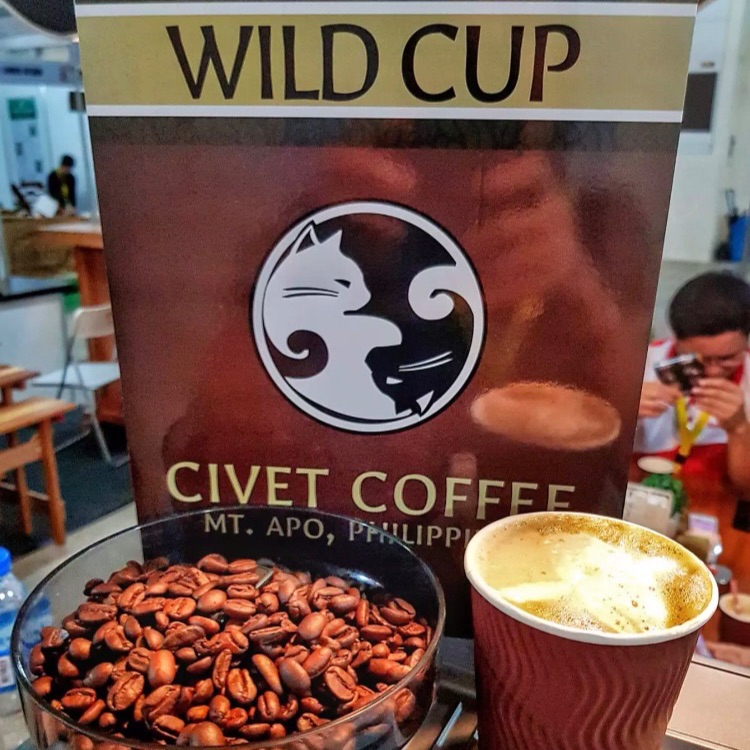 Alamid | Philippine Civet Coffee: Liberica Gold – BASILIO