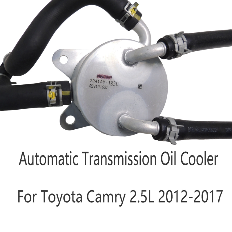 Camry cooler store