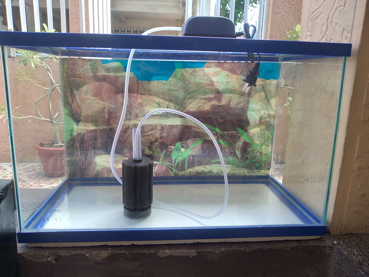 10 Gallon Aquarium with oxygen and back view