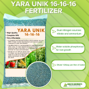 16-16-16 FERTILIZER Pampalago pampabunga