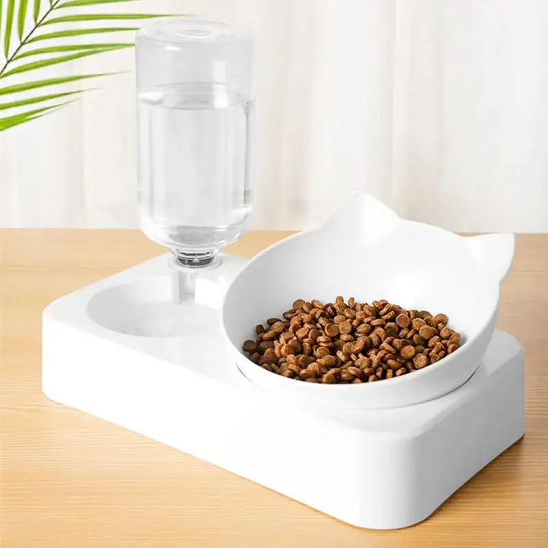 automatic food bowl for cats