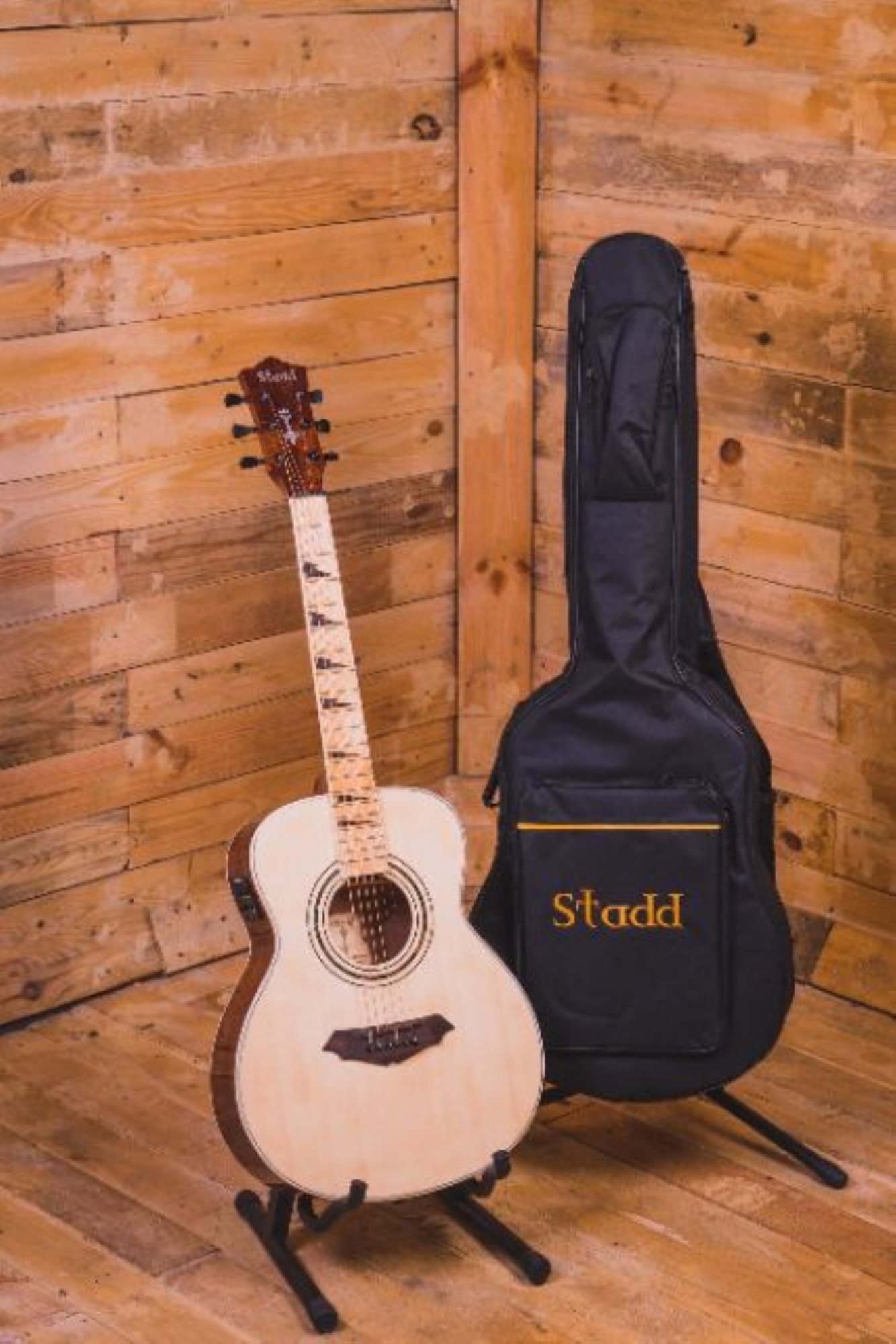 Stadd deals guitar price