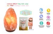 Himalayan Salt Lamp with Free Pink Salt - Pakistan