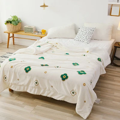 Mini Home Textiles Double Layers Smooth As Milk Blanket Throw Plush Warm Sleeping Blanket for Autumn Winter Blanket (7)