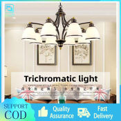 Nordic Iron Chandelier Light for Living Room and Kitchen