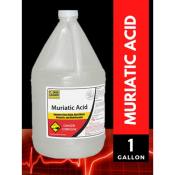 Muriatic Acid Concentrated Disinfectant - 1 Gallon 