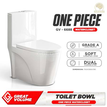 Modern One-Piece Toilet Bowl with Soft-Closing Seat and Dual Flush