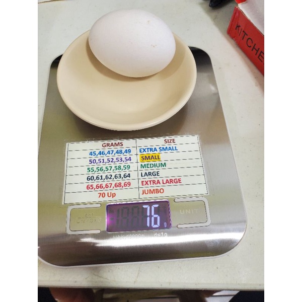 Digital Egg Scale
