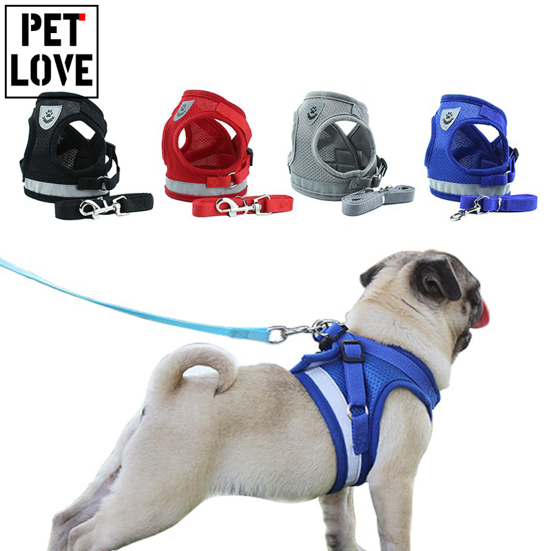 Buy Chastity Belt For Dogs online Lazada .ph