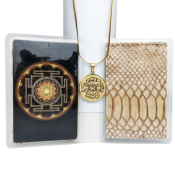 2024 Feng Shui Money Amulet Lucky Charm Set