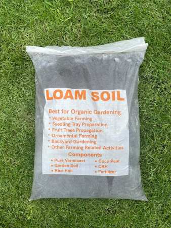 Organic Loam Soil: Best for Cactus and Succulents