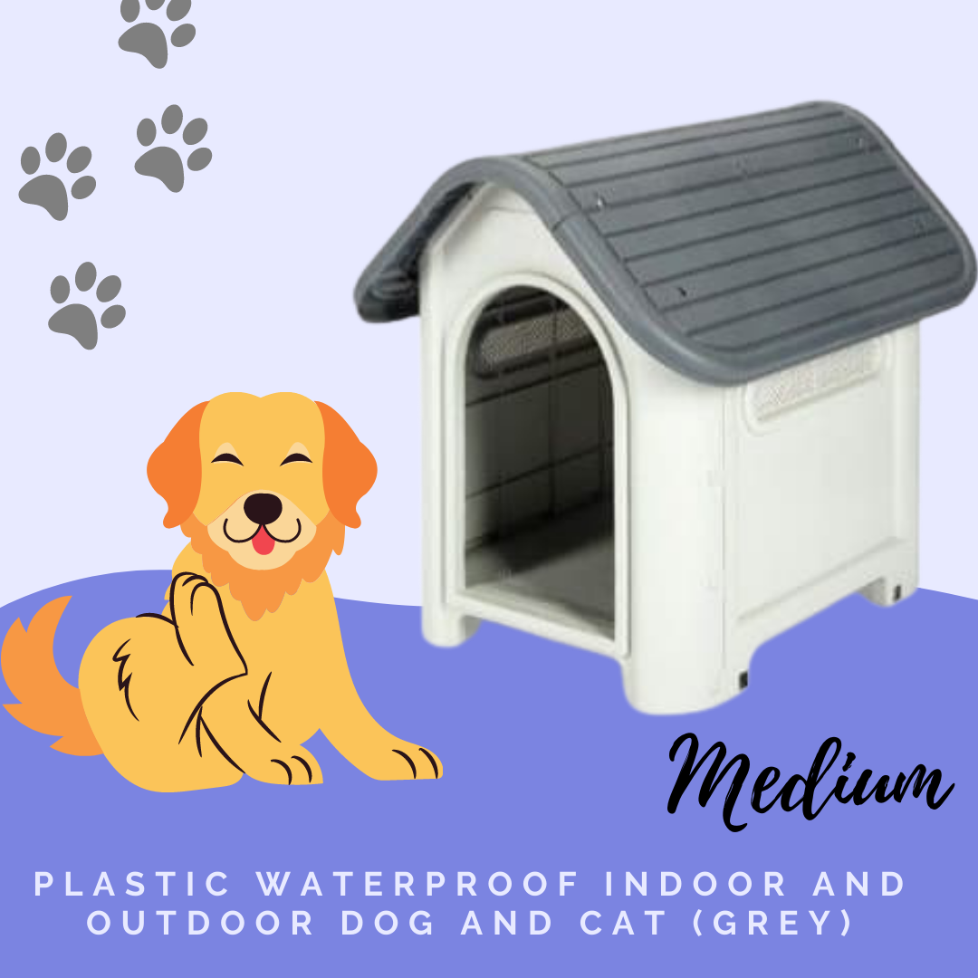 outdoor dog brand