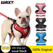 Adjustable Pet Leash and Harness Set by Mesh Collar