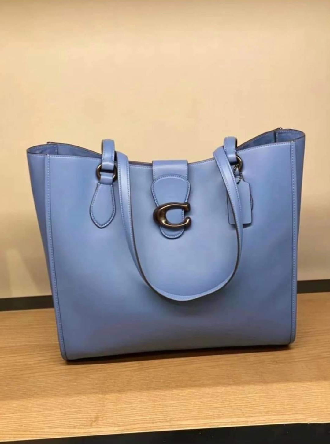 Coach blue 2024 tote bag