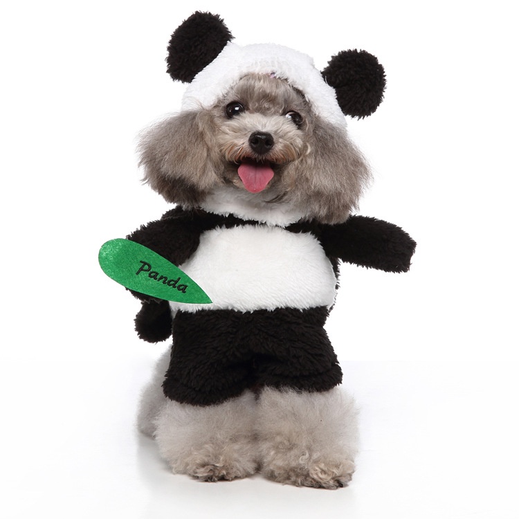 little dog panda costume