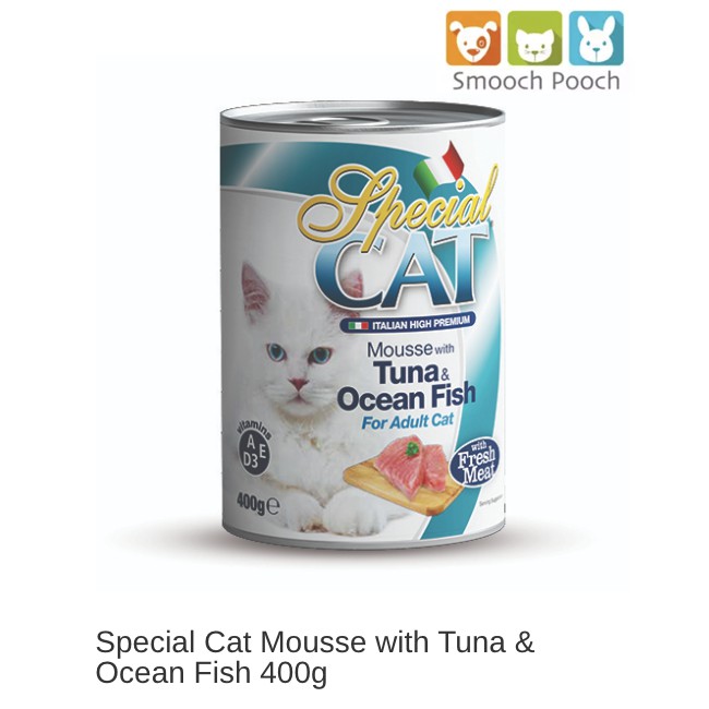 special kitty canned food