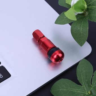 4pcs Metal Car Tire Valve Stem Caps Titanium Spare Tire Covers(Red)- Intl June 2018 - 3 4pcs Metal Car Tire Valve Stem Caps Titanium Spare Tire Covers(Red)- intl - 3