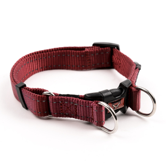 Ezydog Double Up Dog Collar (Red) July 2018 - 2 Ezydog Double Up Dog Collar (Red) - 2