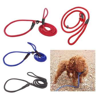 Pet Dog Nylon Training Leash Lead Strap Rope Adjustable TractionCollar (L) - Intl July 2018 - 2 Pet Dog Nylon Training Leash Lead Strap Rope Adjustable TractionCollar (L) - intl - 2