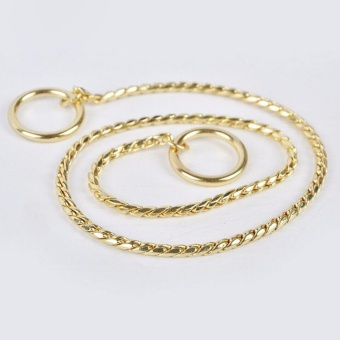 Pet Dog Training Collar Metal P Leash Leads Golden Silver Dog ChokeChain Snake - Gold 5mm*65cm - Intl May 2018 - 3 Pet Dog Training Collar Metal P Leash Leads Golden Silver Dog ChokeChain Snake - Gold 5mm*65cm - intl - 3