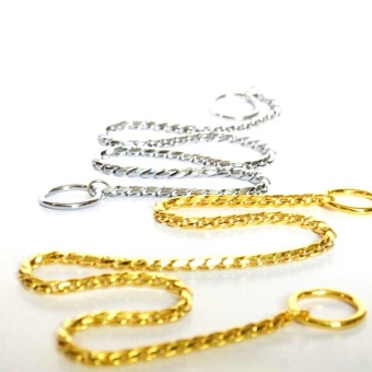 Pet Dog Training Collar Metal P Leash Leads Golden Silver Dog ChokeChain Snake - Gold 5mm*65cm - Intl May 2018 - 2 Pet Dog Training Collar Metal P Leash Leads Golden Silver Dog ChokeChain Snake - Gold 5mm*65cm - intl - 2