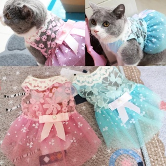 Summer Pet Dog Dress Wedding Party Dog Cat Princess Tutu Skirt SoftPuppy Clothes For Small Dog Teddy Color:Blue Size:10 Yards S - Intl June 2018 - 3 Summer Pet Dog Dress Wedding Party Dog Cat Princess Tutu Skirt SoftPuppy Clothes for Small Dog Teddy Color:Blue Size:10 yards S - intl - 3