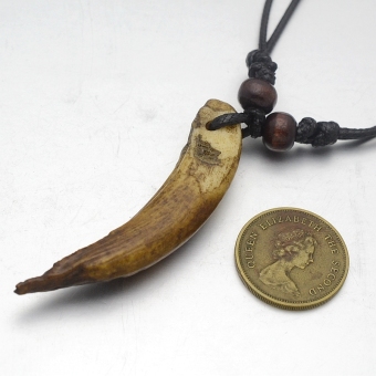 Vintage Look Dark Brown Tibetan Tribal Design Raw Wild Boar Tooth Charm Pendant Necklace - Intl June 2018 - 3 Vintage Look Dark Brown Tibetan Tribal Design Raw Wild Boar Tooth Charm Pendant Necklace - Intl - 3