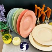 12 PCS . ROUND PLATE   SOUP PLATE / REUSABLE DINNER PLATE