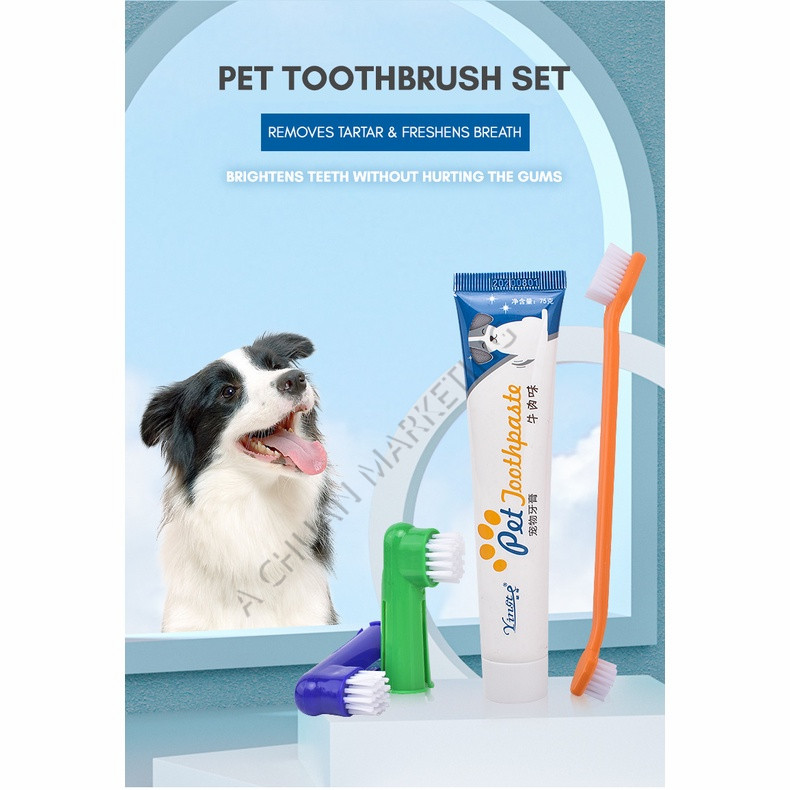 Does Toothpaste Harm Dogs at Walter Lowery blog