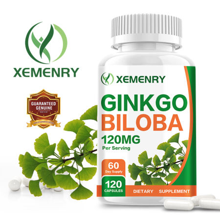 Ginkgo Biloba 120MG for Brain Function & Memory Support