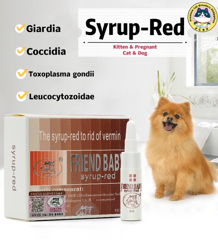 syrup red Giardia coccidia toxoplasma cats and dogs blood jelly