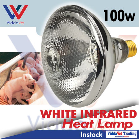 Infrared Heat Lamp Bulb 100W for Livestock and Poultry