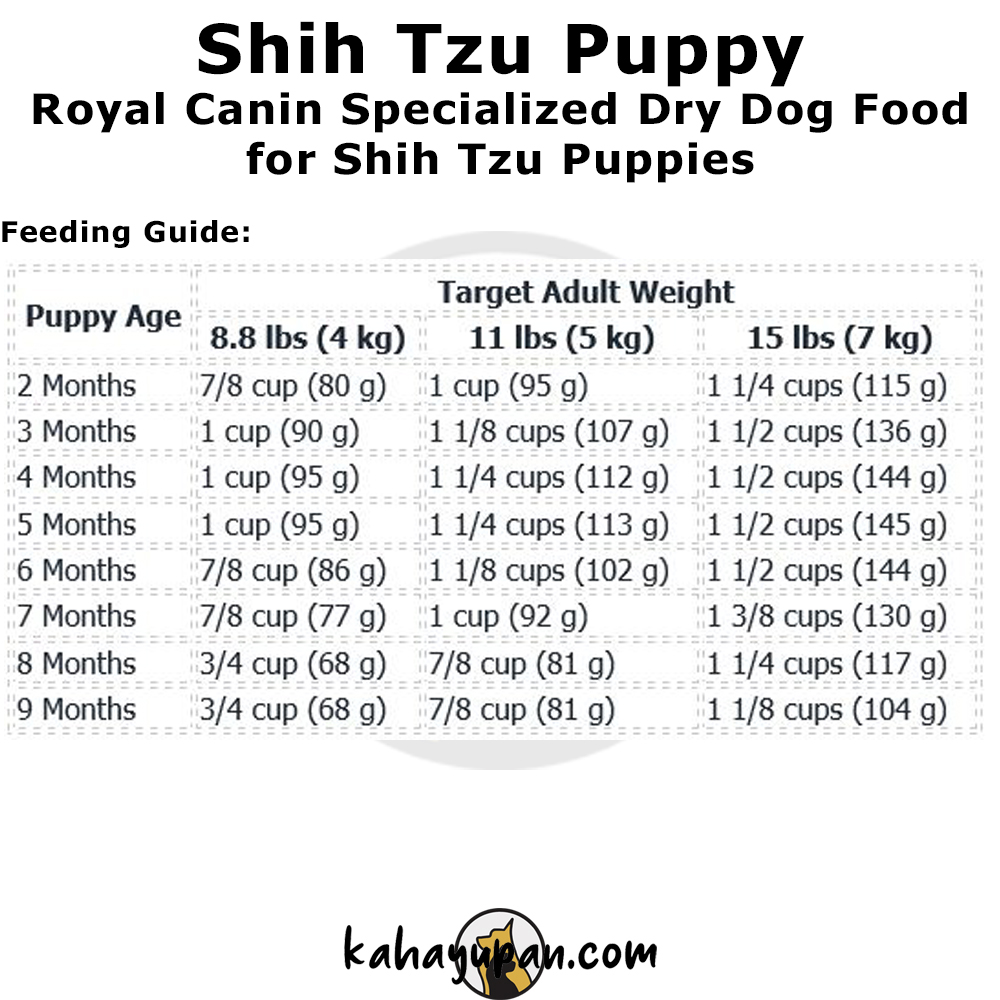 Shih tzu 2025 puppy food chart