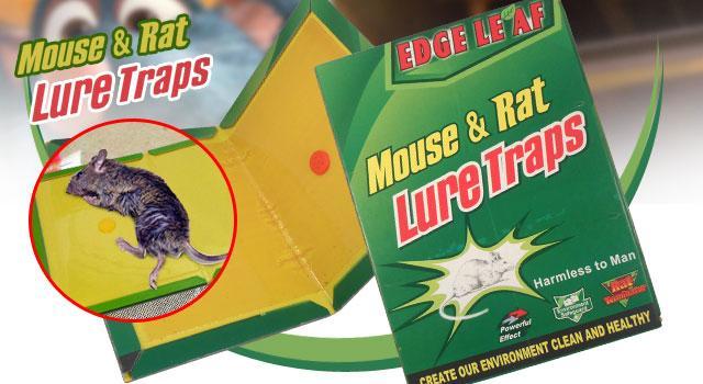 LSN-04 SET OF 6 Mouse and Rat Lure Trap Reusable Sticky Board Highly  Effective Mouse Rat Control System