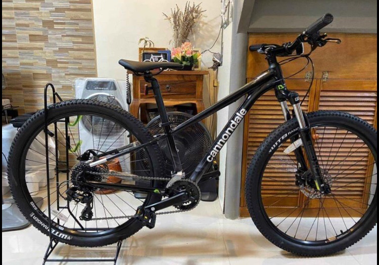 cannondale mountain bike price philippines