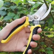 Garden Pruning Shears - High Carbon Stainless Steel, Heavy Duty