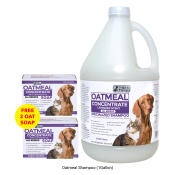 TBS Prolific Oatmeal Shampoo + Soap Bundle (1 Gallon + 2