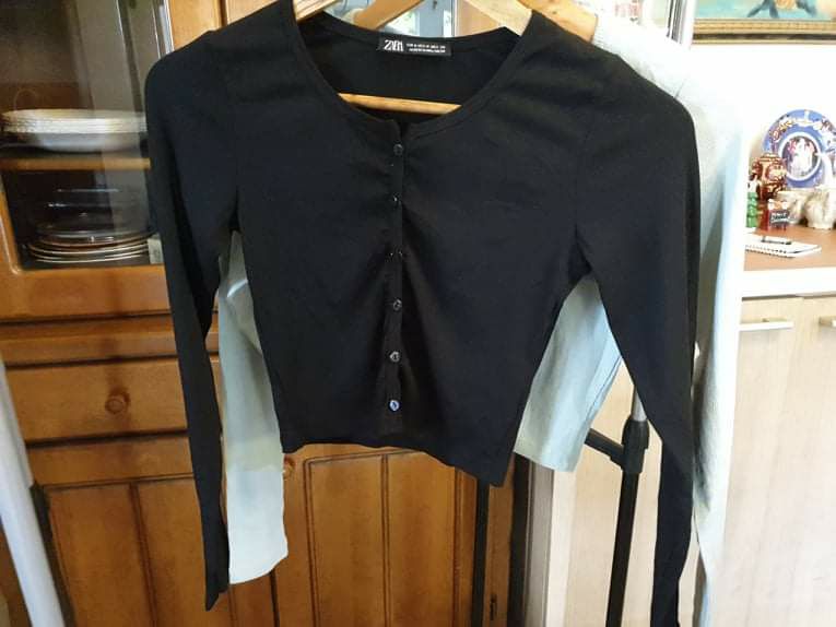 zara crop top long sleeve