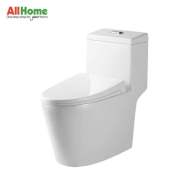 Brauhn Dual Flush Toilet Bowl - Farica 6690