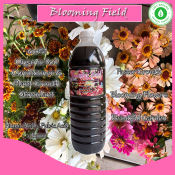 Blooming Field Soil Conditioner & Growth Stimulant for All Plants