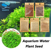 Aquarium Plant Seeds for Fish Tank Decoration - Aqua Soil