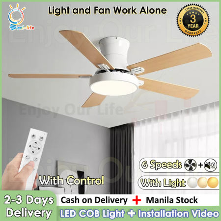 Nordic Modern Ceiling Fan with Remote Control and Light