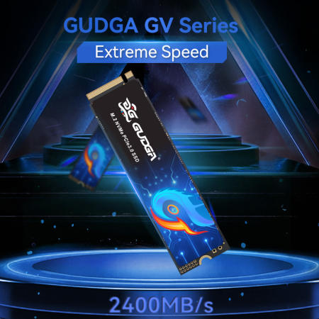 GUDGA 256GB NVMe M.2 SSD with Heatsink for Laptops/Desktops