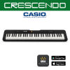 Casio Slim Casiotone Keyboard with Free Adapter