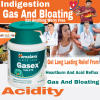 Himalaya Gasex For Indigestion Gas Heartburn And Acid Reflux