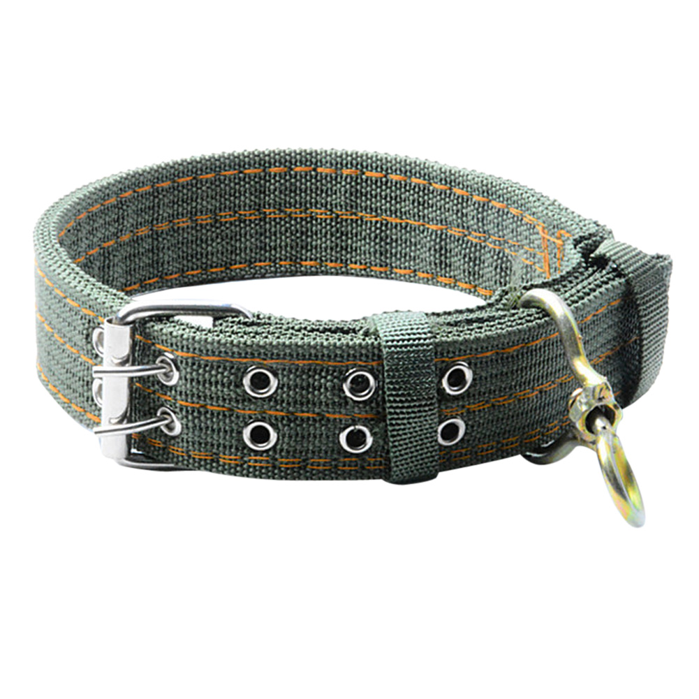 Canvas dog collar best sale