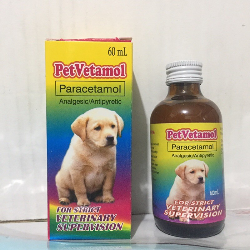 Paracetamol Iv For Dogs At Emma Sparks Blog