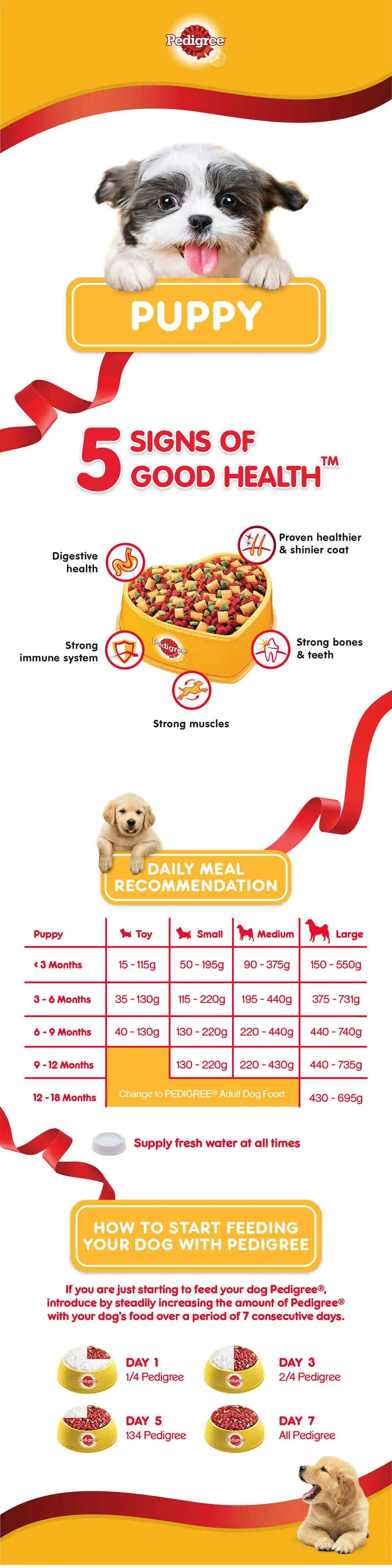 pedigree for 6 months dog